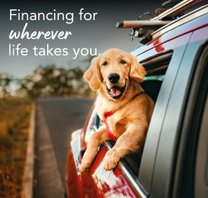 LifeStyle Loans and Credit Cards Loans